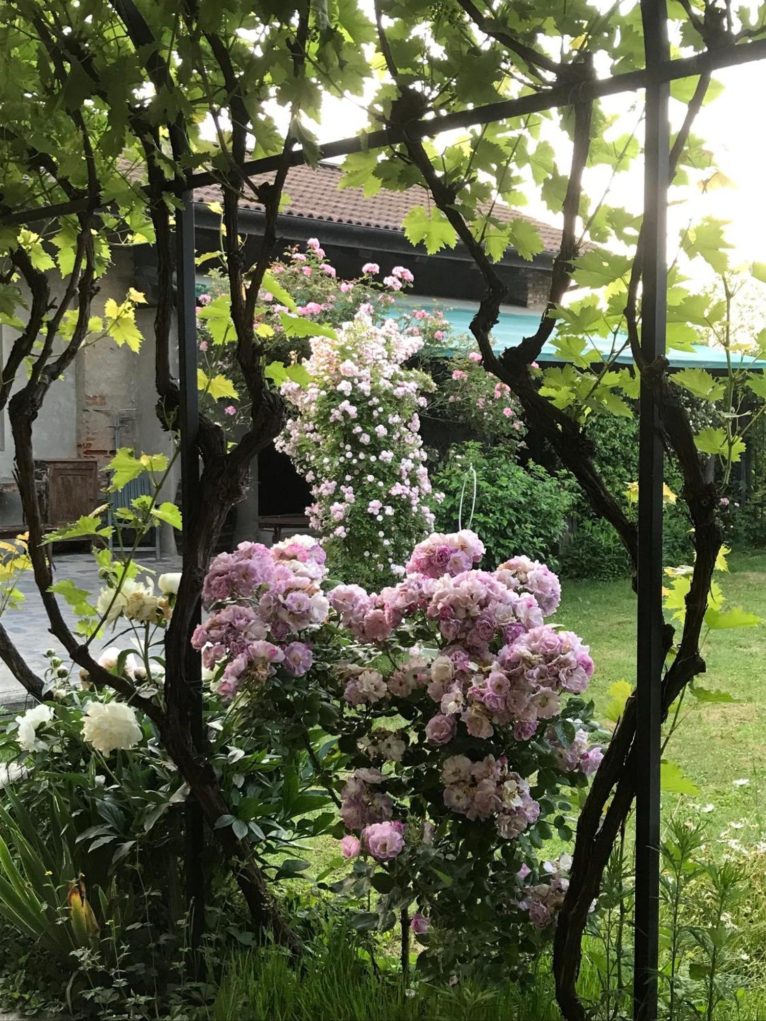 B&B Cascina Marie Bricherasio Ngoại thất bức ảnh