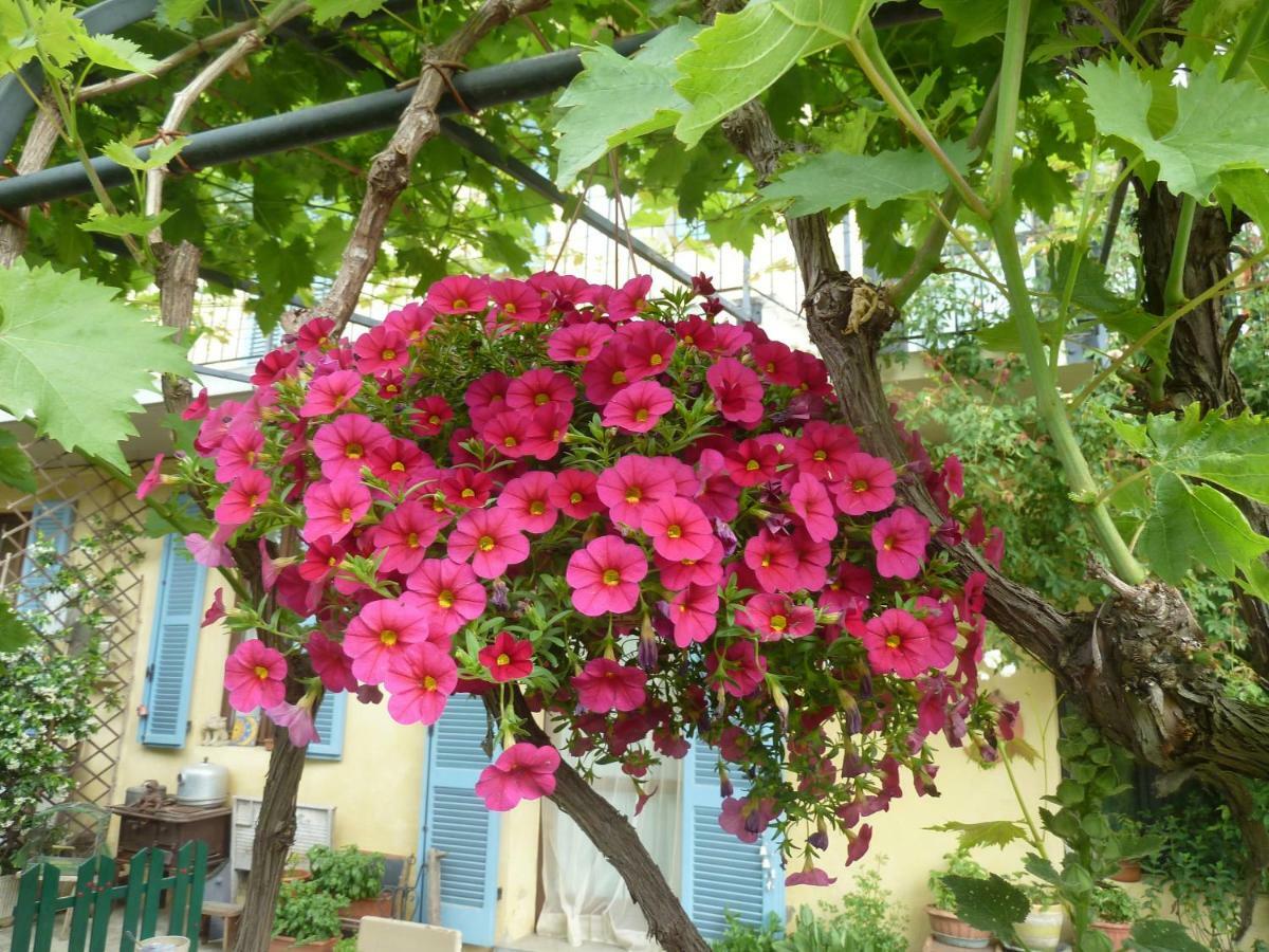 B&B Cascina Marie Bricherasio Ngoại thất bức ảnh